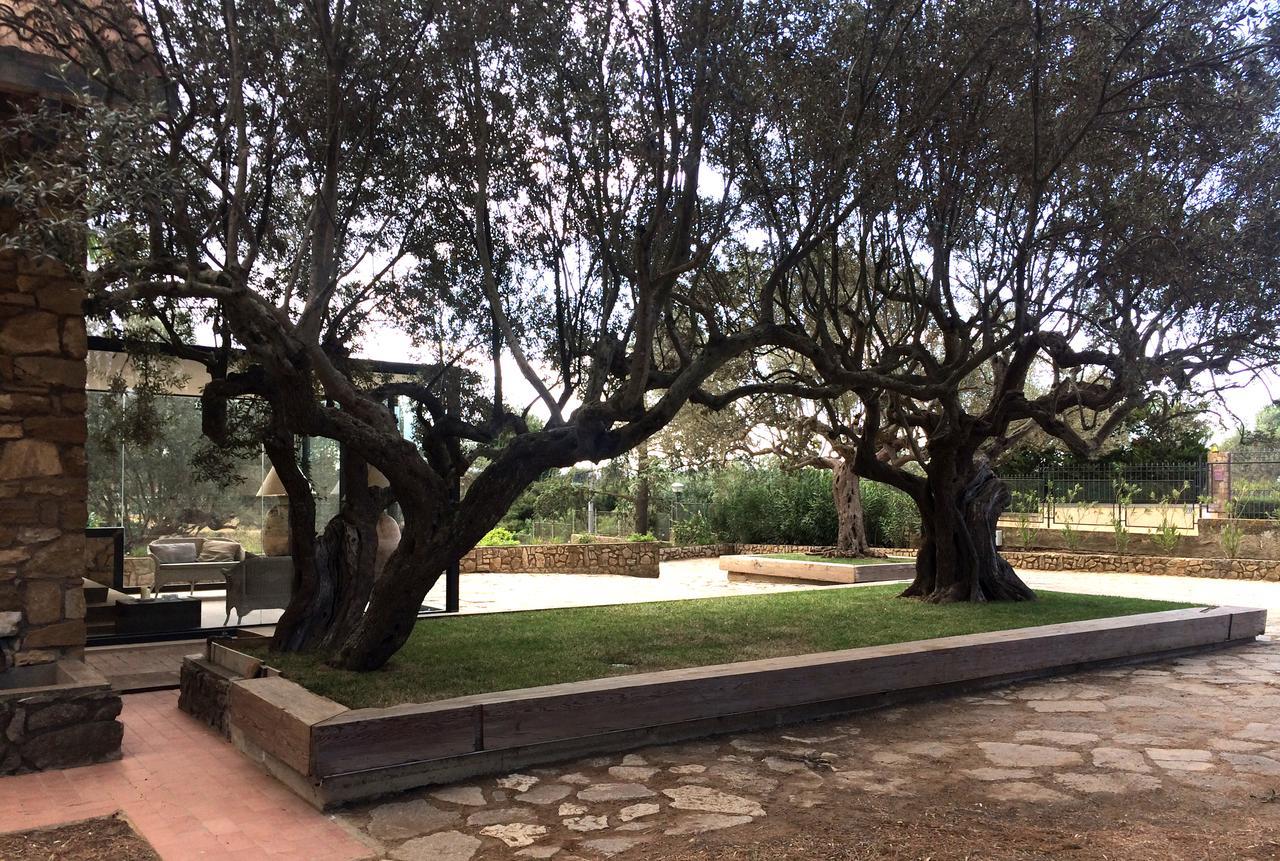 קלטג'ירונה B&B La Collegiata מראה חיצוני תמונה